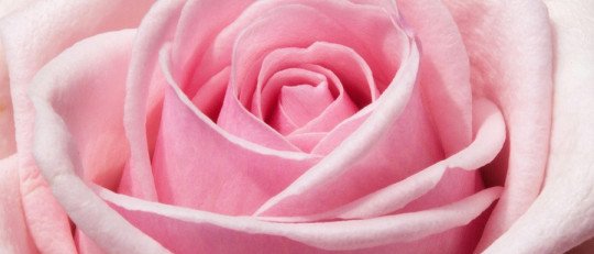 ¿Es cierto que 'la primavera la sangre altera'?