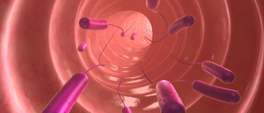 El parásito que provoca la Toxoplasmosis controla la mente y causa trastornos psicológicos y suicidios