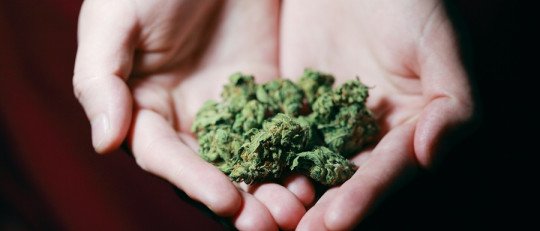 7 claves para detectar la adicción al cannabis en los jóvenes