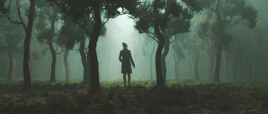 no-se-que-hacer-con-mi-vida