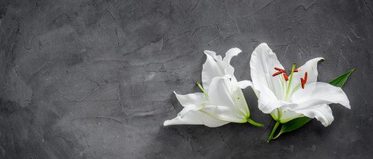 como-manejar-duelo-procesos-consejos