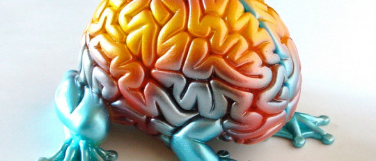 La personalidad resistente: ¿eres una persona fuerte?