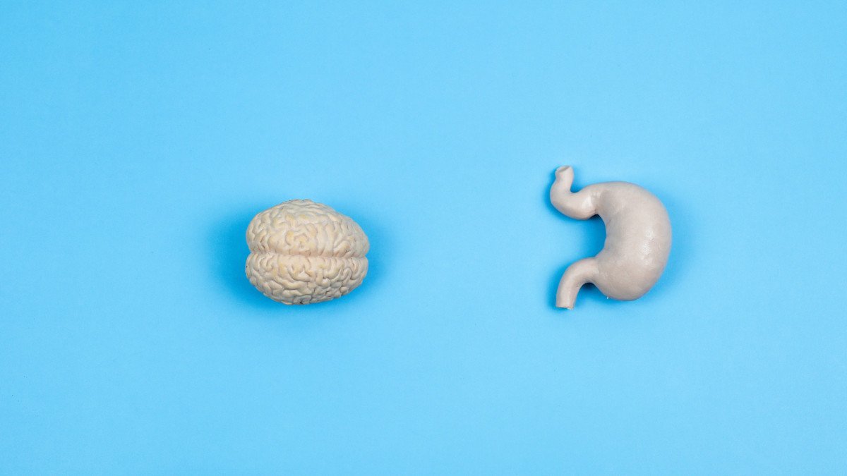¿Cómo nos influye emocionalmente nuestro “segundo cerebro” en el sistema digestivo?