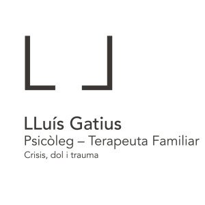 Lluís Gatius Joher
