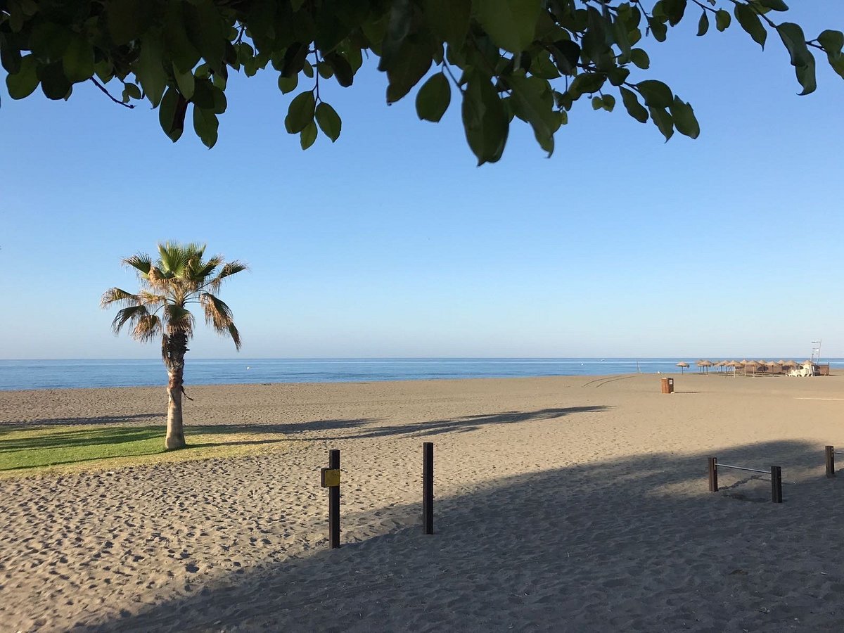 Psicólogos en Benajarafe