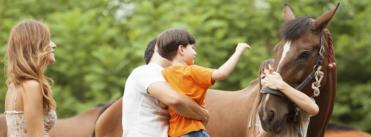 Terapia Asistida con Caballos en España