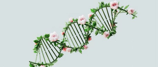 Cómo la Epigenética influye en la Memoria