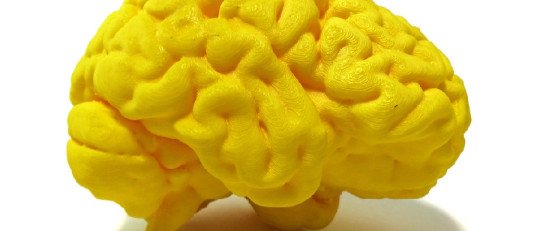 Cómo funciona el Eje Intestino-Cerebro