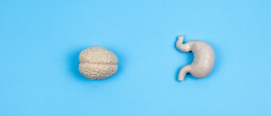 como-funciona-eje-intestino-cerebro