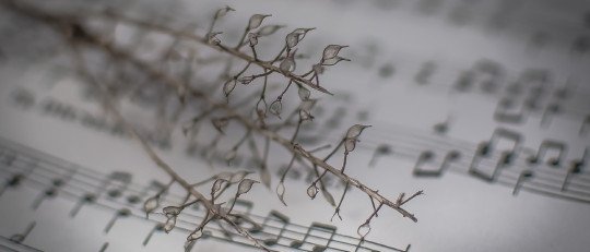 memoria-musical-resiste-envejecimiento