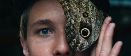 Visualización creativa.