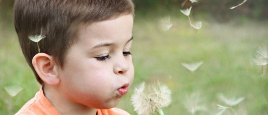 Vivir en zonas verdes reduce riesgo TDAH