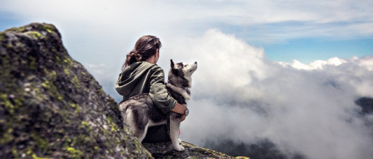 La indefensión aprendida en las víctimas de malos tratos
