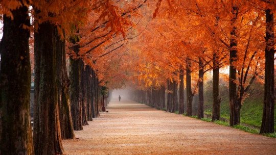 ¿El otoño afecta al estado de ánimo?