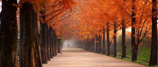 ¿El otoño afecta al estado de ánimo?