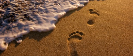 Humanidad del trauma