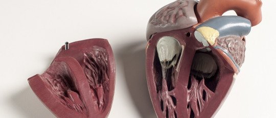 La extraña relación entre el riesgo de suicidio y los latidos del corazón