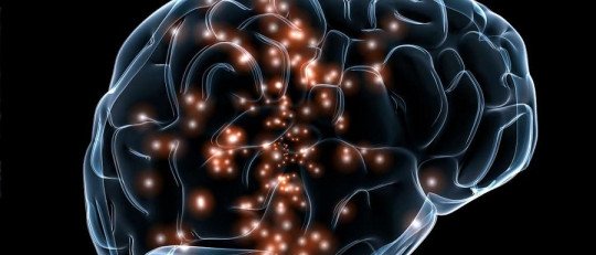 Inventan una forma de administrar fármacos directamente en el Cerebro