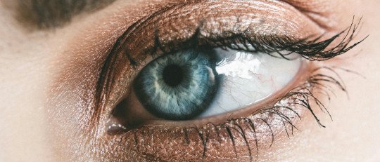 Un nuevo estudio muestra que tus ojos son una ventana a tus recuerdos