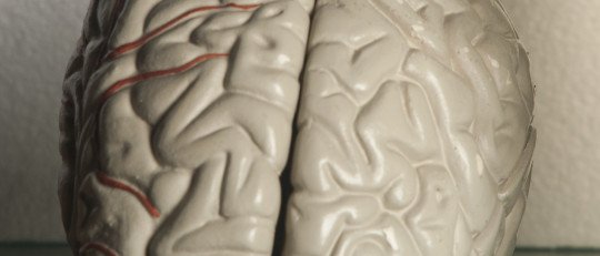 Diferencias entre el lóbulo derecho e izquierdo