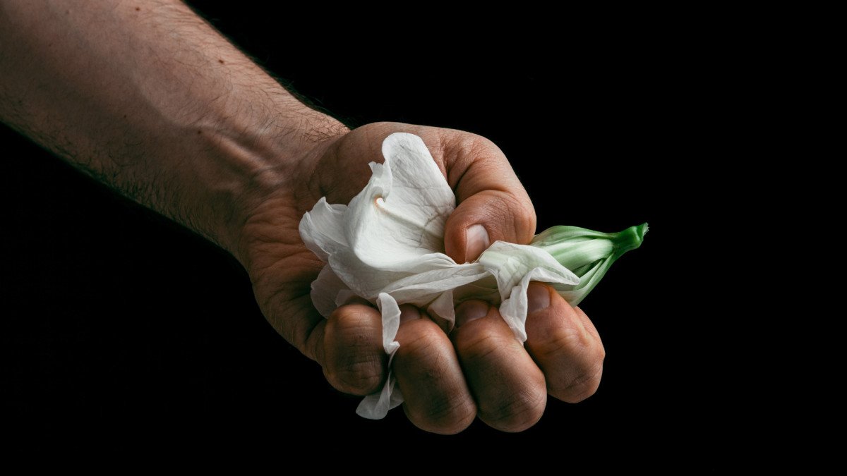 Más allá del Salario: el poder del Propósito para motivar a tus empleados