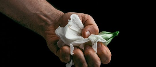 Qué nos hace hoy tan violentos