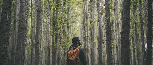 La importancia del autocuidado digital: Estrategias para desconectar