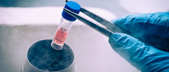 Trasplante células para tratar enfermedades neurológicas