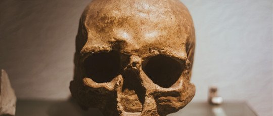 ¿Fueron Caníbales nuestros antepasados?