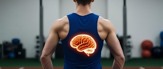 Eje intestino cerebro bienestar rendimiento deportivo