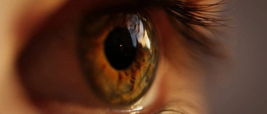 Sanar el pasado para vivir el presente: cómo el EMDR te puede ayudar