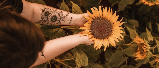 El viaje de volver a ti