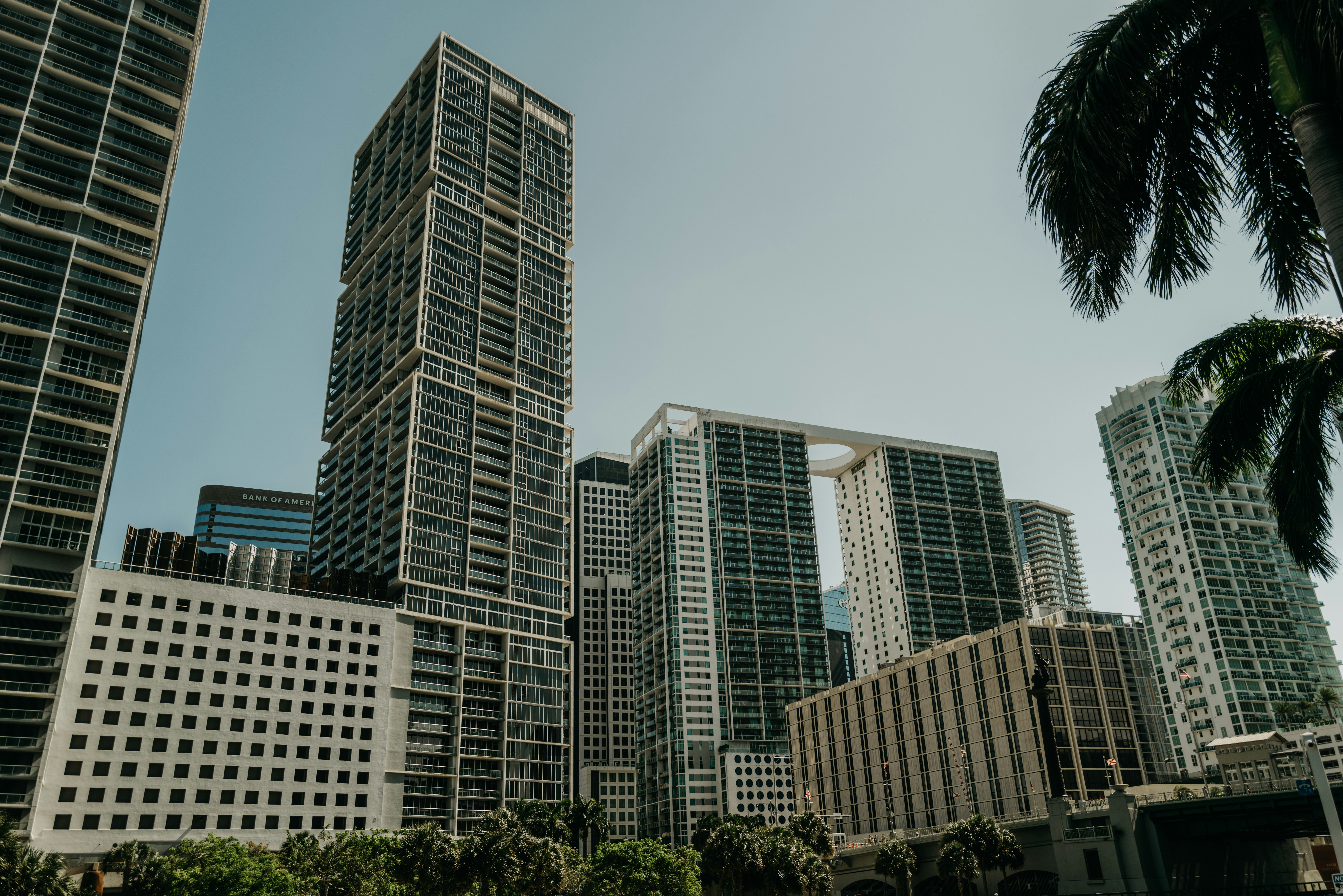 Psicólogos expertos en Adolescentes en Miami