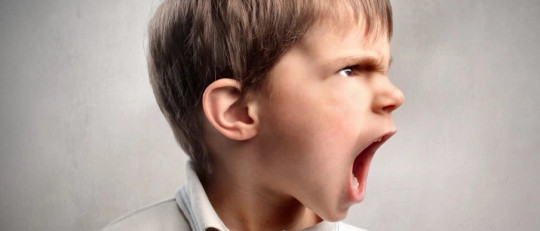 Trastorno de Desregulación Disruptiva del Estado de Ánimo