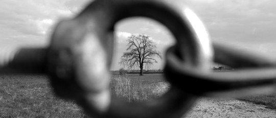 El vértigo de la libertad