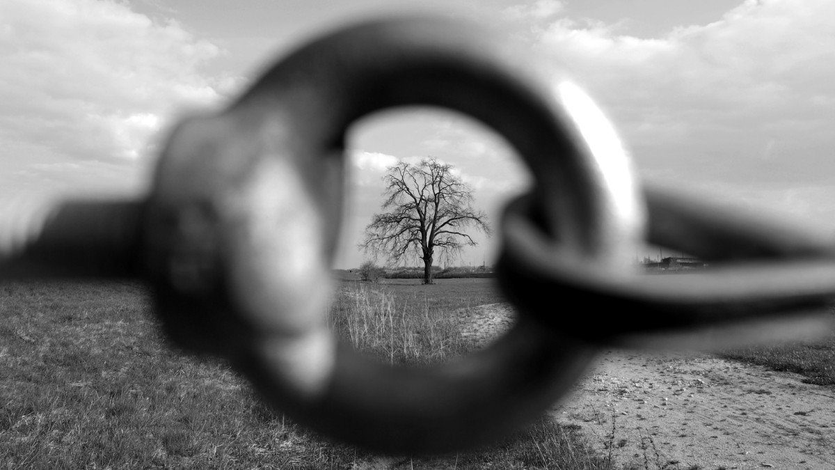 El vértigo de la libertad: entre el alma, el “yo” y la biología