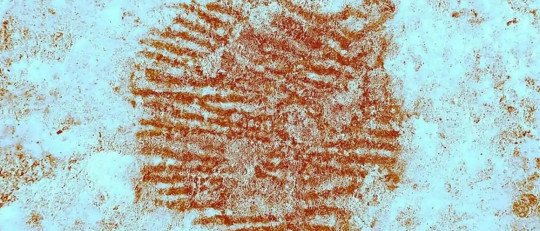 La huella dactilar más antigua está en Segovia