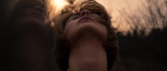 Aprender a sentir: el arte de gestionar nuestras emociones