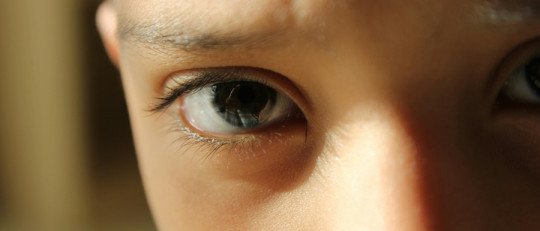 Criar desde la reparación: estrategias para cuidadores de niños con Trauma