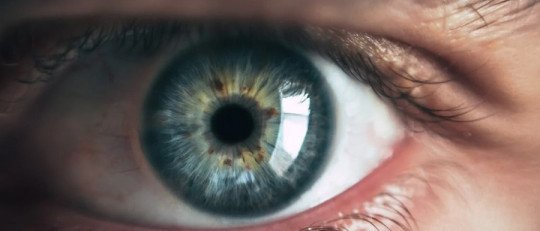 Cómo la Terapia EMDR puede ayudarte a sanar desde la raíz ante un trauma