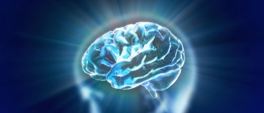 Esta parte del cerebro te hace más o menos vulnerable al estrés postraumático