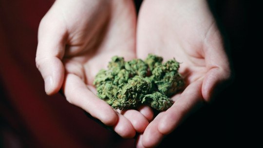 Las Drogas no son el problema principal, son la consecuencia de un problema