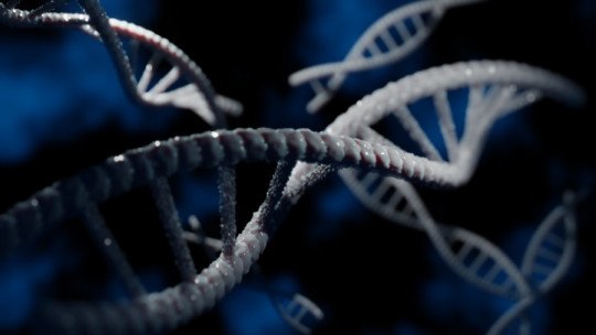 Así es como los genes ligados a la Depresión afectan al Sistema de Recompensa del Cerebro