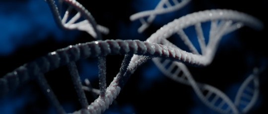 Así es como los genes ligados a la Depresión afectan al Sistema de Recompensa del Cerebro