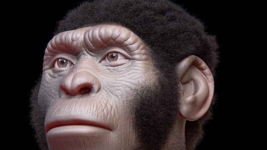 El misterio del Homo Naledi, un homínido descubierto en Sudáfrica