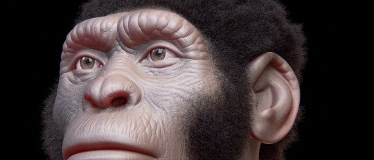 El misterio del Homo Naledi, un homínido descubierto en Sudáfrica