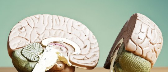 Psicología y biología: cómo interactúan en el estrés y afectan al organismo