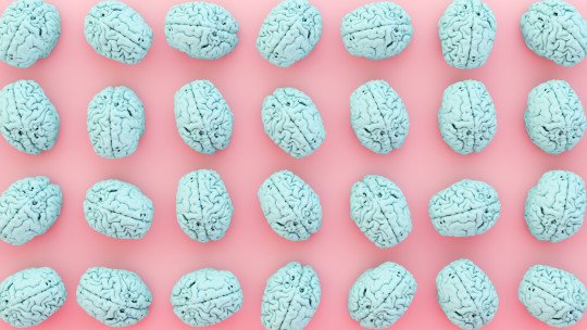 Existen diferencias en el funcionamiento cerebral de la mujer y del hombre