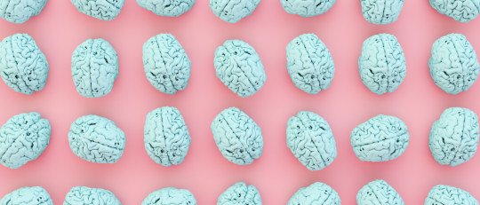 Existen diferencias en el funcionamiento cerebral de la mujer y del hombre