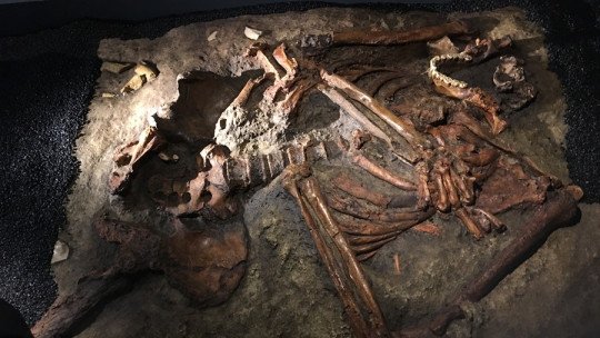Posible enterramiento neandertal hallado en Kebara 2.